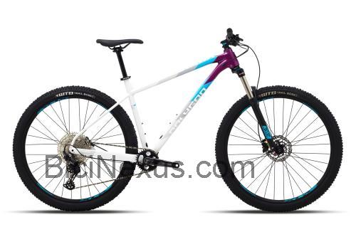 Polygon Xtrada 7 ficha técnica y opiniones